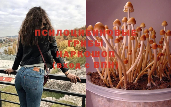 прущая мука Алзамай