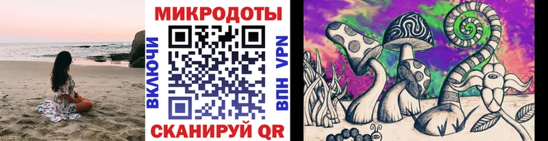 blacksprut зеркало  Сосновка  Галлюциногенные грибы MAGIC MUSHROOMS 
