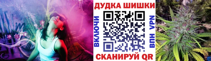 darknet как зайти  хочу   Сосновка  Конопля сатива 
